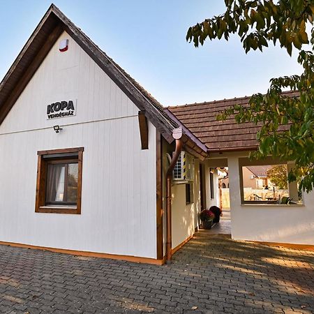 Kopa Vendeghaz Apartment Szigetvar Luaran gambar