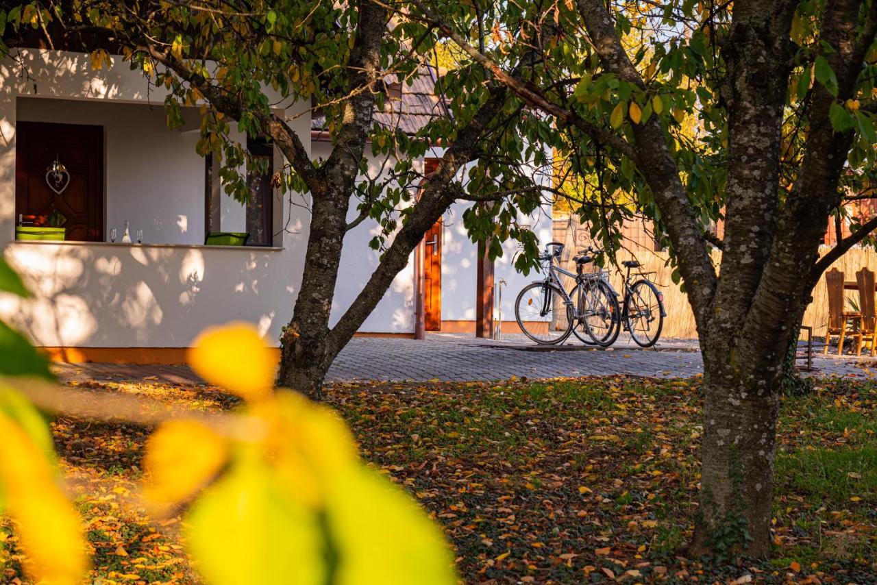 Kopa Vendeghaz Apartment Szigetvar Luaran gambar
