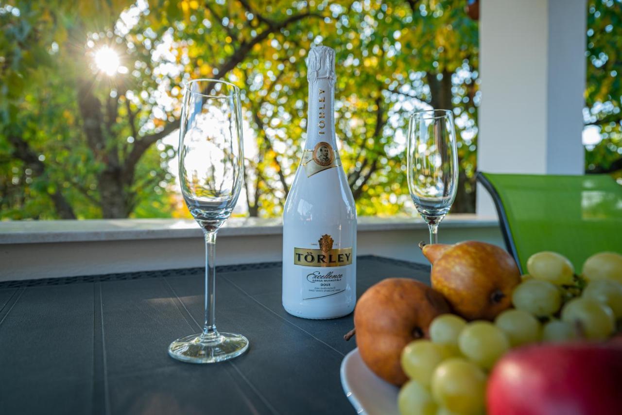 Kopa Vendeghaz Apartment Szigetvar Luaran gambar